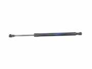 Gasdruckfeder Hinten 51247060623 BMW 3 serie (E90) Limousine 320d 16V (N47-D20A) 2008