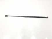 Gasdruckfeder Hinten 51247127875 BMW 3 serie Touring (E91) Kombi 320d 16V (N47-D20A) 2008