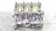 Motorblock 110106418R Renault IV Limited