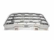 Grill 623100256R Renault Master III (MA/MB/MC/MD/MH/MF/MG/MH) Van 2.3 dCi 16V (M9T-B6)