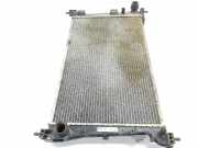 Radiator 51812209 Fiat Doblo Cargo (263) Van 1.4 T-Jet 16V (198.A.4000) 2011
