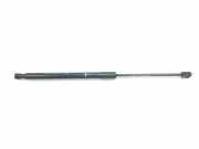 Gasdruckfeder Hinten 81780G4000 Hyundai i30 (PDEB5/PDEBB/PDEBD/PDEBE) Schrägheck 1.5 T-GDI 16V Hybrid 48V (G4LK) 2023