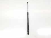 Gasdruckfedern Set Hinten 5FF827550B Cupra Formentor SUV 2.0 TSI 16V 4Drive (DNNA) 2022 DNNA