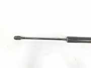 Gasdruckfedern Set Hinten 7H0827550 Volkswagen Transporter/Caravelle T5 Bus 1.9 TDi (AXB) 2006 AXB