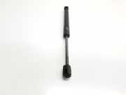 Gasdruckfeder Set Vorne 51237239233 BMW 1 serie (F20) Schrägheck 5-drs 118d 2.0 16V (B47-D20A)