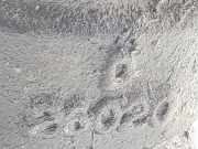 Servolenkung Pumpe 4431035500 Toyota Land Cruiser 90 (J9) Hardtop Geländewagen 3.0 TD (1KZTE)