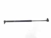 Gasdruckfeder Hinten FN1BN400A12AB Ford EcoSport (JK8) SUV 1.5 Ti-VCT 16V (UEJE) 2016