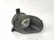 Nebelscheinwerfer Links 8P0941699A Audi Q7 (4LB) SUV 3.0 TDI V6 24V (BUG) 2007