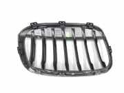 Grill 51137354823 BMW X1 (F48) SUV xDrive 18d 2.0 16V (B47-C20A(Euro 6)) 2017