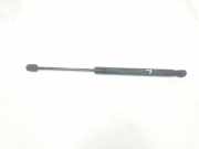 Gasdruckfeder Hinten 8N7827552A Audi TT Roadster (8N9) Cabrio 1.8 20V Turbo (AUM) 2002