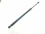 Gasdruckfedern Set Hinten 904506UA0B Nissan Qashqai (J12) SUV 1.3 DIG-T MHEV 16V (HR13DDT) 2024