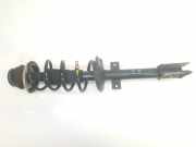 Stoßdämpfer Links Hinten 543020142R Dacia Duster (SR) SUV 1.6 16V 4x4 (H4M-729(H4M-D7)) 2018