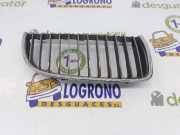 Grill Gitter Rechts 51137120010 BMW 3 serie (E90) Limousine 330i 24V (N53-B30A) 2008