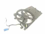 Lüfter Kühler 51780703 Citroën Nemo (AA) Van 1.3 HDi 75 (F13DTE5(FHZ)) 2015