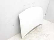 Motorhaube 7901G0 Citroën Berlingo Van 1.9 D (XUD9A(D9B-2))