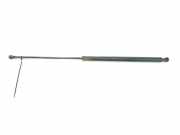 Gasdruckfeder Hinten 51247038248 BMW SERIE 3 COMPACT 2.0 16V D (150 CV) 2004
