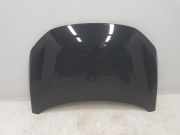 Motorhaube 651006924R Renault SIN DEFINIR SIN DEFINIR