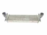 Ladeluftkühler 17512247966 BMW X5 (E53) SUV 3.0d 24V (M57-D30(306D1)) 2002