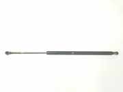 Gasdruckfedern Set Hinten 51248402405 BMW X5 (E53) SUV 3.0d 24V (M57N-D30(306D2)) 2004