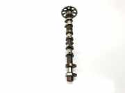 Nockenwelle 1350221021 Toyota Prius (NHW20) Liftback 1.5 16V (1NZ-FXE)