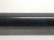 Gasdruckfeder Set Vorne 41612990344 BMW X1 (E84) SUV xDrive 18d 2.0 16V (N47-D20C)