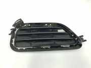Grill Gitter Links 7338513 BMW X3 (F25) SUV sDrive18d 16V (B47-D20A) 2015