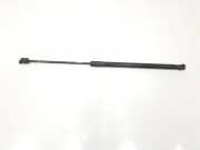 Gasdruckfeder Hinten 51247127875 BMW 3 serie Touring (E91) Kombi 320d 16V (N47-D20A) 2008