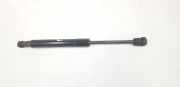 Gasdruckfeder Set Vorne 654700008R Renault Grand Scénic III (JZ) Großraumlimousine 1.6 16V Bifuel (K4M-866(K4M-T8)) 2016