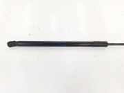 Gasdruckfeder Hinten 8P4827552B Audi A3 Sportback (8PA) Schrägheck 5-drs 2.0 TDI 16V (CFFB) 2011