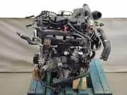 Motor COMPLEET G4FV Hyundai i20 (BC3) Schrägheck 5-drs 1.6 N T-GDI 16V (G4FV)