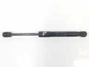 Gasdruckfeder Vorne 50535450 Alfa Romeo Stelvio (949) SUV 2.2d 16V 160 (46335692) 2022