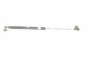 Gasdruckfeder Set Vorne 5345069055 Toyota Land Cruiser (J12) Hardtop Geländewagen 3.0 D-4D 16V (1KDFTV) 2005