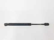 Gasdruckfedern Set Hinten 1692162 Ford Focus 2 Limousine 1.6 Ti-VCT 16V (HXDB) 2006