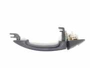 Türgriff Außen Links Vorne 1691718 Ford Transit Ch.Cab/Pick-up 2.2 TDCi 16V (CVF5(Euro 5)) 2018