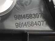 Innenbeleuchtung 9825946880 Peugeot 5008 II (M4/MC/MJ/MR) Großraumlimousine 1.5 BlueHDi 130 (DV5RC(YHZ))