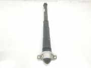 Stoßdämpfer Rechts Hinten 5QN513049BA Seat Tarraco SUV 2.0 TDI 150 16V (DTSA) 2022