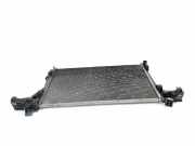 Radiator 214107695R Renault Master III (MA/MB/MC/MD/MH/MF/MG/MH) Van 2.3 dCi 16V (M9T-B6)