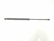 Gasdruckfeder Hinten 8P3827552C Audi A3 (8P1) Schrägheck 3-drs 2.0 TDI 16V (BKD) 2004