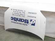 Motorhaube 7901K5 Peugeot Partner Van 2.0 HDi (DW10TD(RHY)) 2003