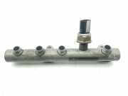 Einspritzdüsen Düsenstock 059130089AB Audi Q7 (4LB) SUV 3.0 TDI V6 24V (BUG) 2006