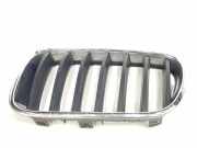 Grill Gitter Links 7210725 BMW X3 (F25) SUV xDrive20d 16V (N47-D20C)