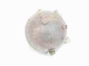 Ausgleichbehälter 2D0121403K Volkswagen LT II Van 2.5 TDi (AVR) 2006 AVR