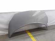 Motorhaube 651001097R Renault Grand Scénic II (JM) Großraumlimousine 1.5 dCi 100 (K9K-728) 2006