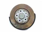 Achsschenkel Links Hinten 3Q0505433G Volkswagen LIM. 1.6 TDI DPF (120 CV) 2016