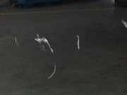 Tür Links Hinten LR034203 Land + Range Rover Range Rover III (LM) Geländewagen 3.6 TDV8 32V (368DT) 2007