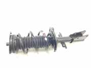 Stoßdämpfer Links Vorne 543021842R Renault Kangoo Express (RFK) Van 1.5 Blue dCi 115 (K9K-876)