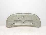 Motorhaube 651224338R Renault L1H1 29t Komfort