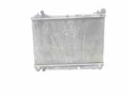 Radiator 1770067J00 Suzuki Grand Vitara II (JT) SUV 1.9 DDiS (F9Q)