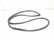 Türgummis 6231260100B0 Toyota Land Cruiser (J12) Hardtop Geländewagen 3.0 D-4D 16V (1KDFTV) 2004