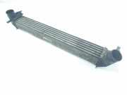 Ladeluftkühler 6R0145805 Seat Ibiza IV (6J5) Schrägheck 5-drs 1.9 TDI 105 (BLS) 2009